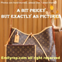 Louis Vuitton CarryAll Medium Tote Bag