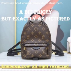 Louis Vuitton M44873 Palm Springs Mini Backpack