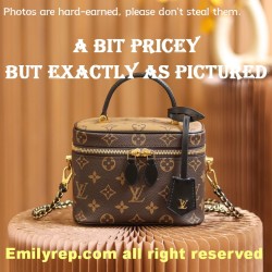 Louis Vuitton M45165 Vanity Pm Bag