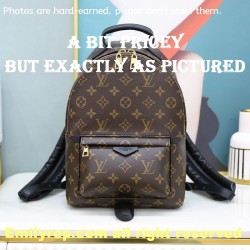 Louis Vuitton M44871 Palm Springs Pm