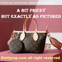 Louis Vuitton M46705 Neverfull Bb