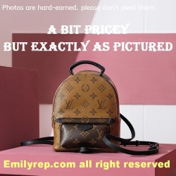 Louis Vuitton M44872 Palm Springs Mini Backpack